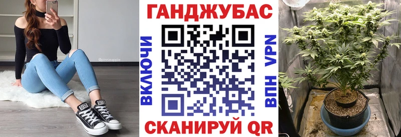 Канабис планчик  Уяр 